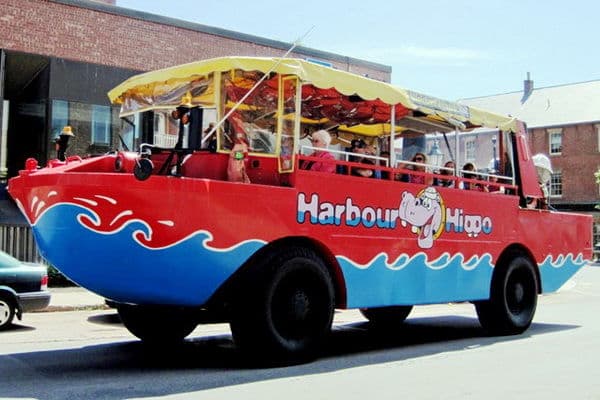 Harbour Hippo tour