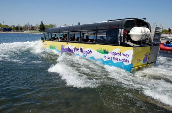 Toronto Hippo Tour Bus