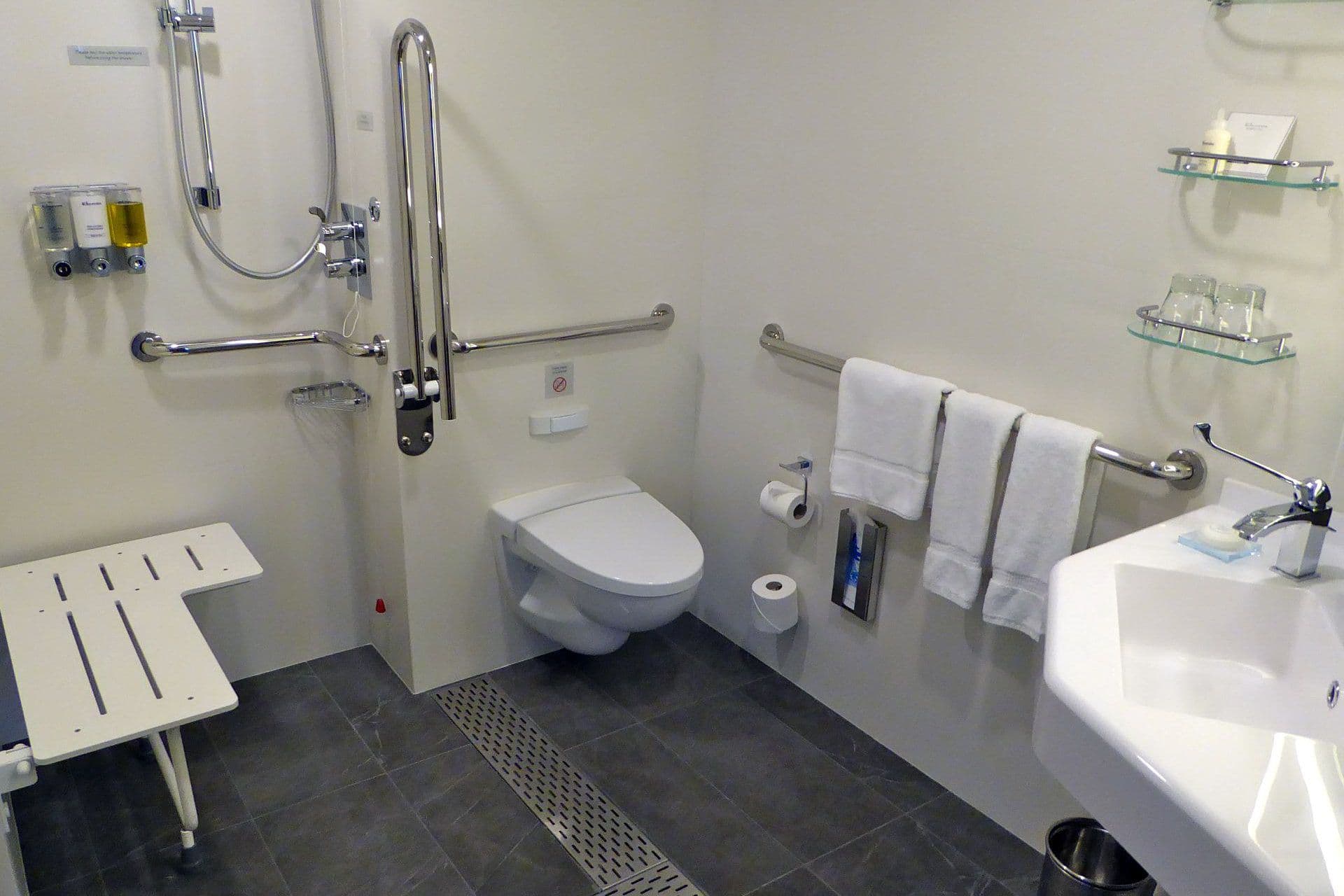 koningsdam-handicap-wc